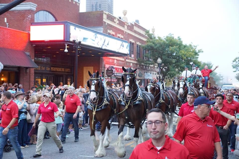clydesdales during a local parade