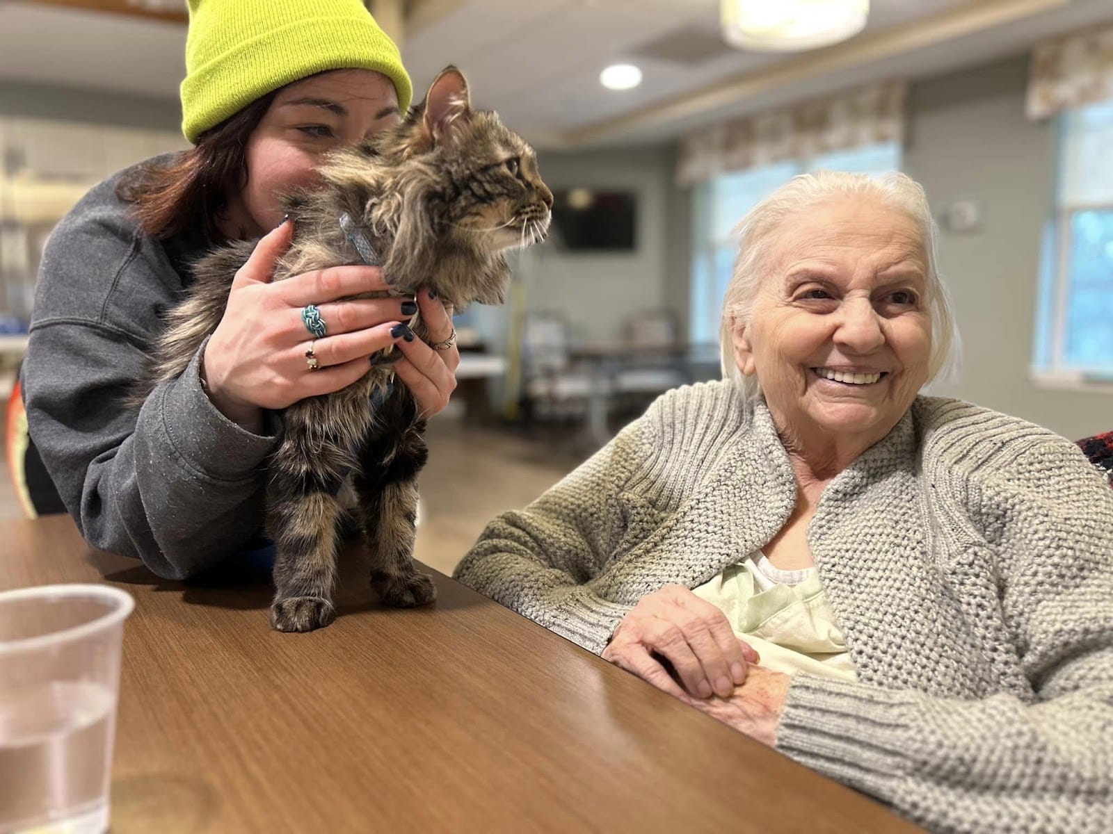 An elderly woman smiling and sitting next to a younger person who is holding a cat